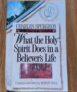 What the holy Spirit does in a believers life