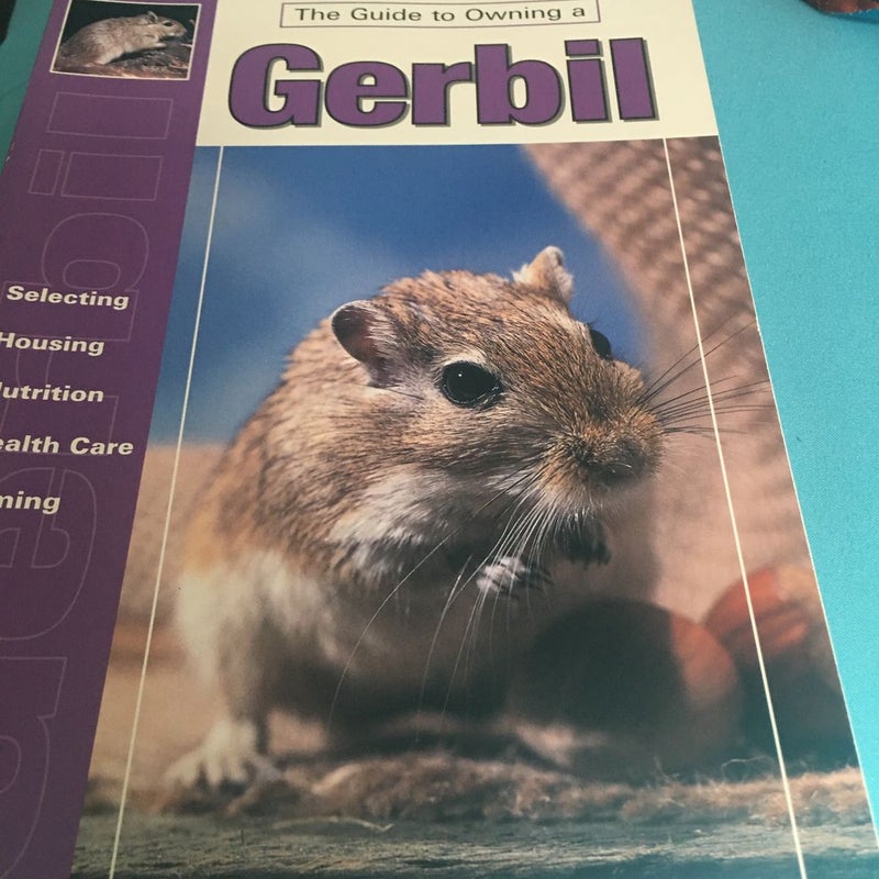 Guide to Owning a Gerbil