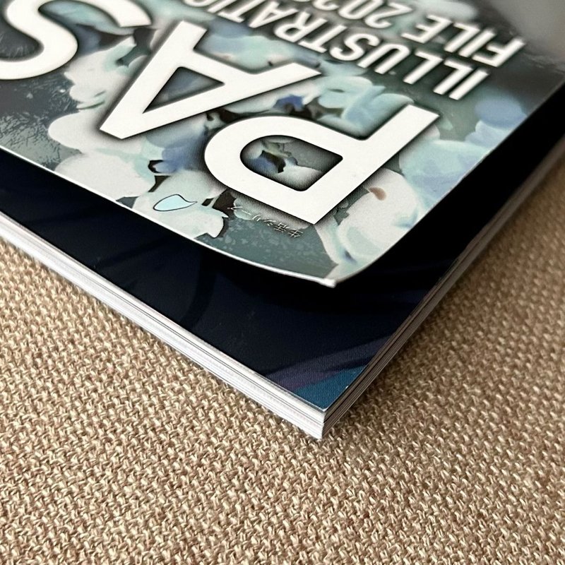 PASH! Illustration File 10/23 Issue Magazine by PASH!, Paperback ...