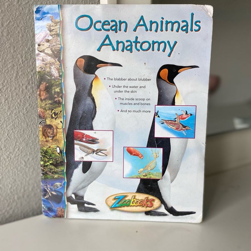 Ocean Animals Anatomy