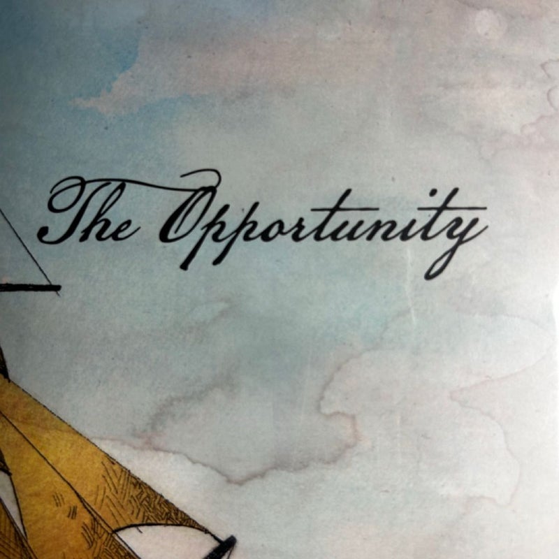 The Opportunity 