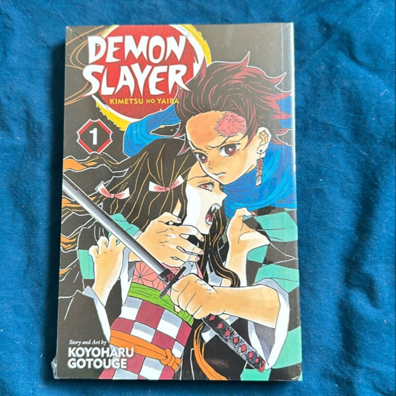 Demon Slayer: Kimetsu No Yaiba, Vol. 1