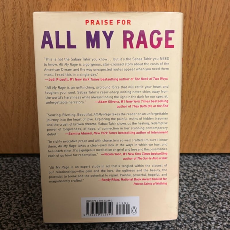 All My Rage