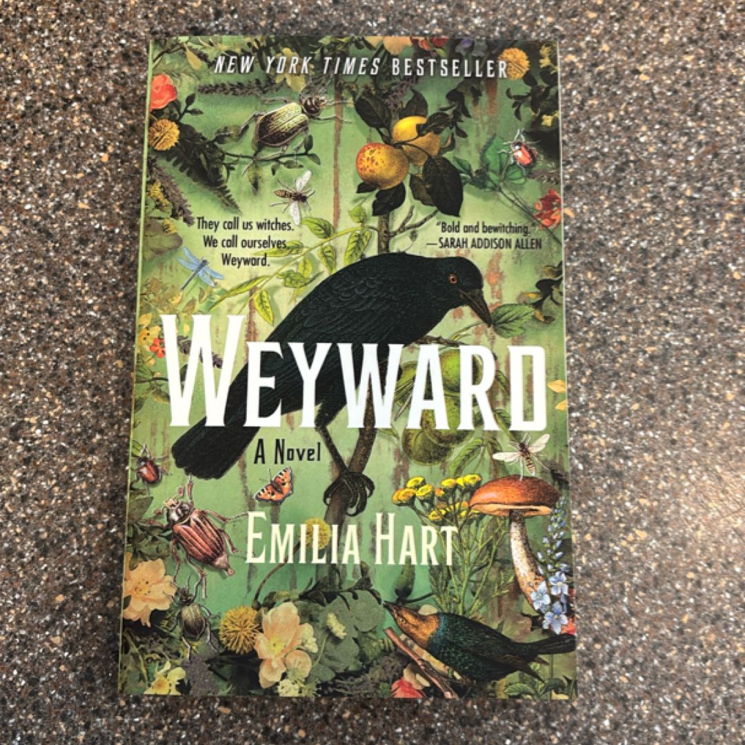 Sale image for cd35683d-a743-432e-aed6-ca51fd134233-LDUEVCIeyUgy4QLk2lclzvuI1j92