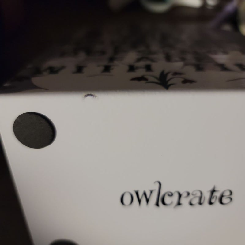 Owlcrate The Bear and the Nightingale Bookends 