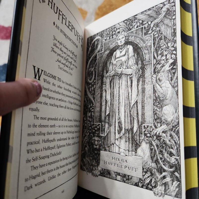 Harry Potter and the Philosopher's Stone - Hufflepuff Edition