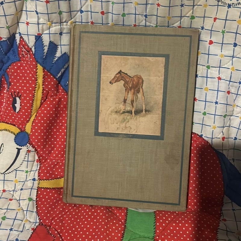The Red Pony 1st edition illustrated 1945 