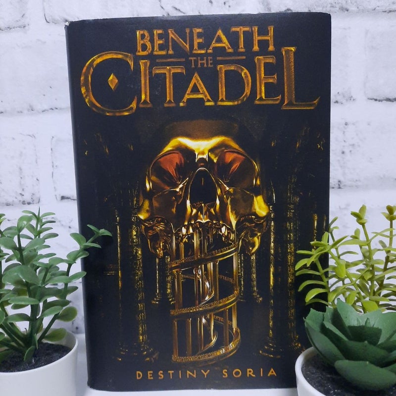 Beneath the Citadel