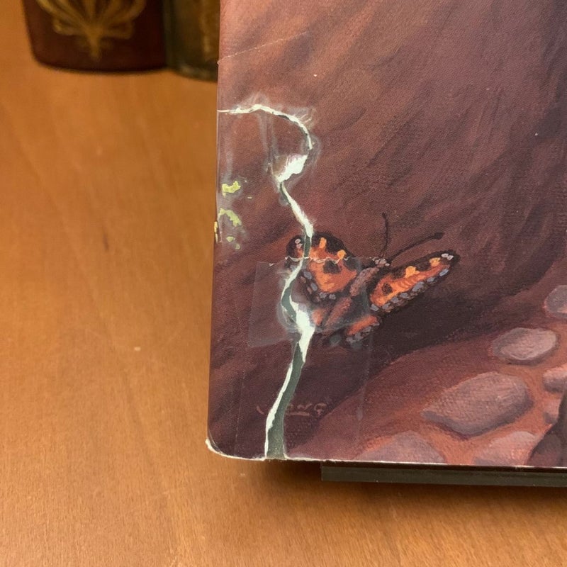 The Waterstone, First Edition First Printing