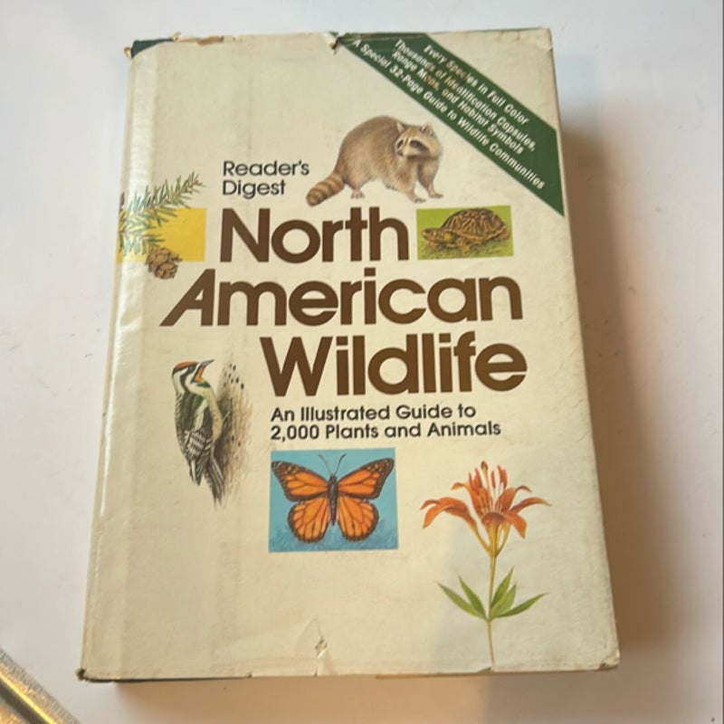 North American Wildlife