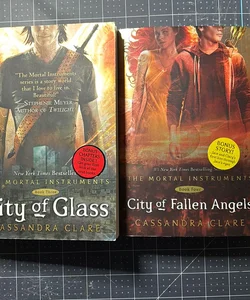 City of Glass Book and City of Fallen Angels