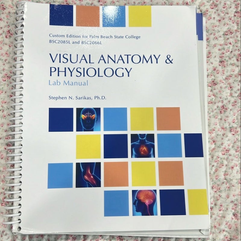 Visual Anatomy & physiology