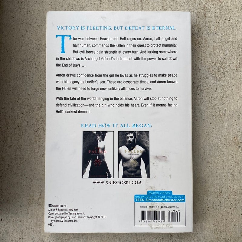 The Fallen 3