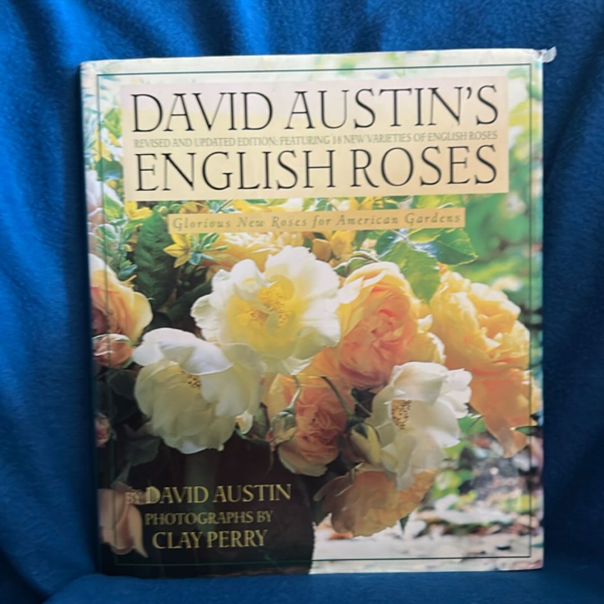David Austin's English Roses by David Austin