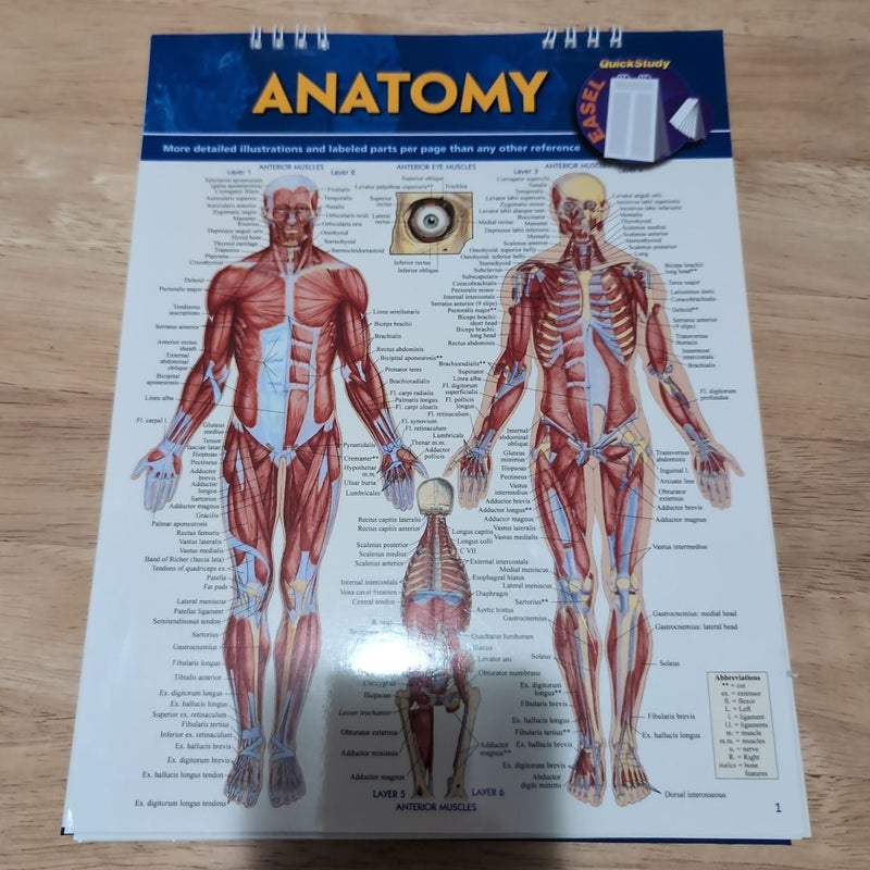 Anatomy Easel Book