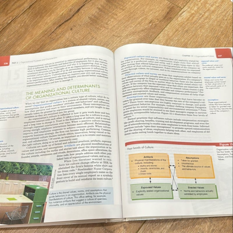 Organizational Behavior