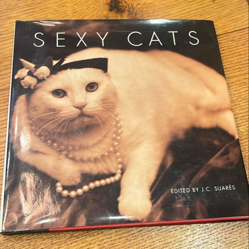 Sexy Cats