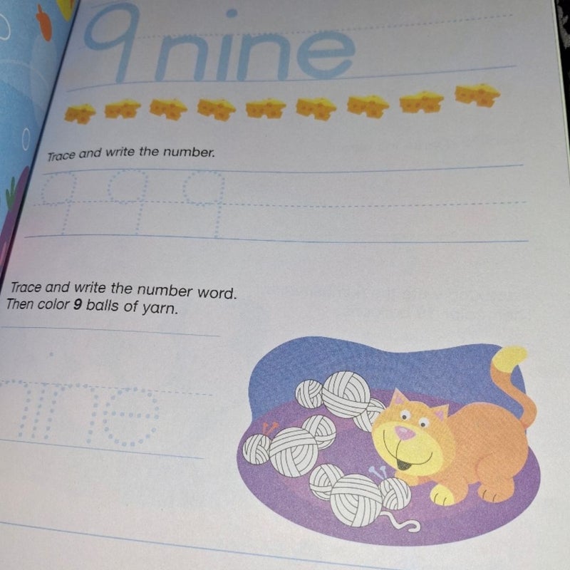 Numbers and Counting Kids Workbook