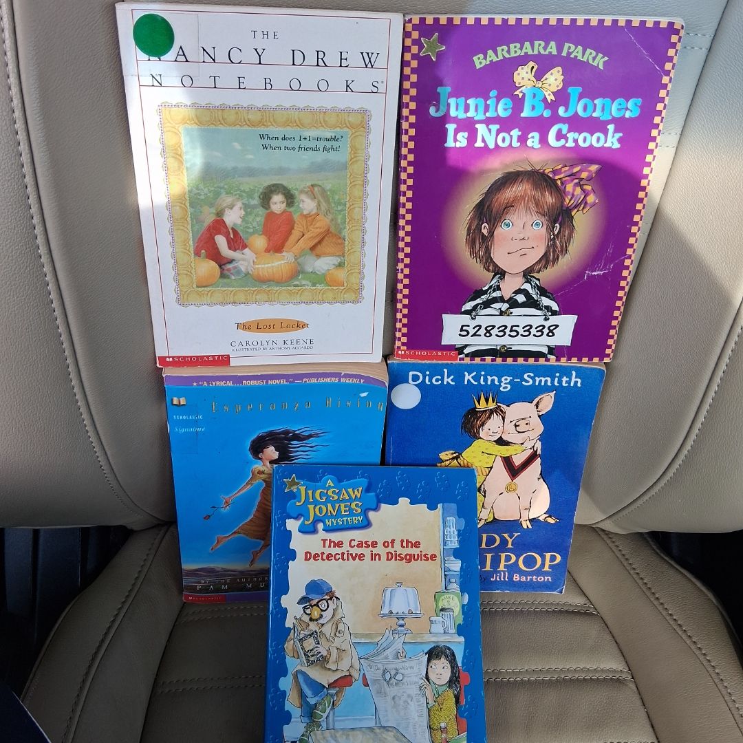 The Case of the Detective in Disguise & 4 other scholastic books