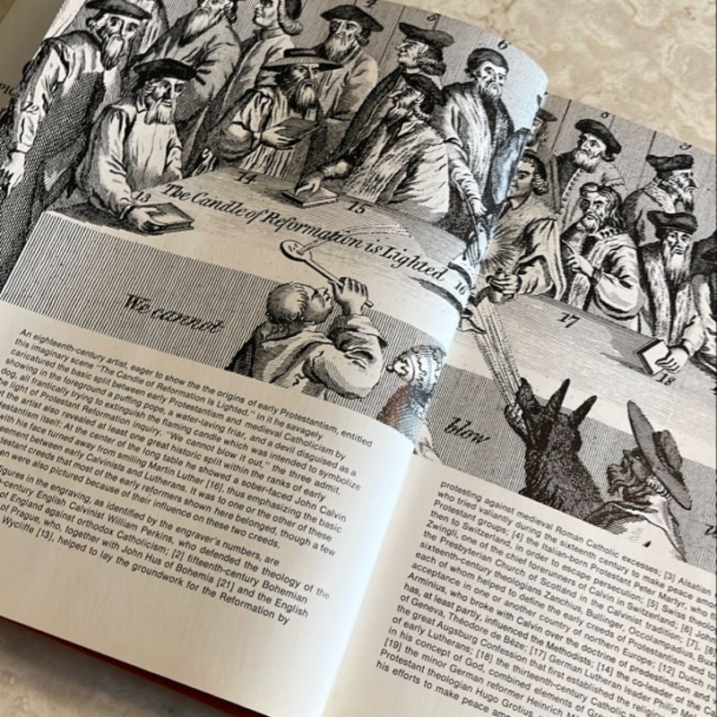 The Progress of the Protestant