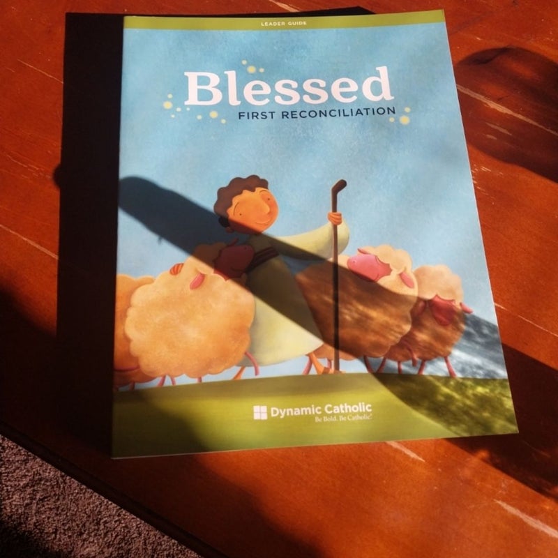 Dynamic Catholic Blessed Books Leader Guides