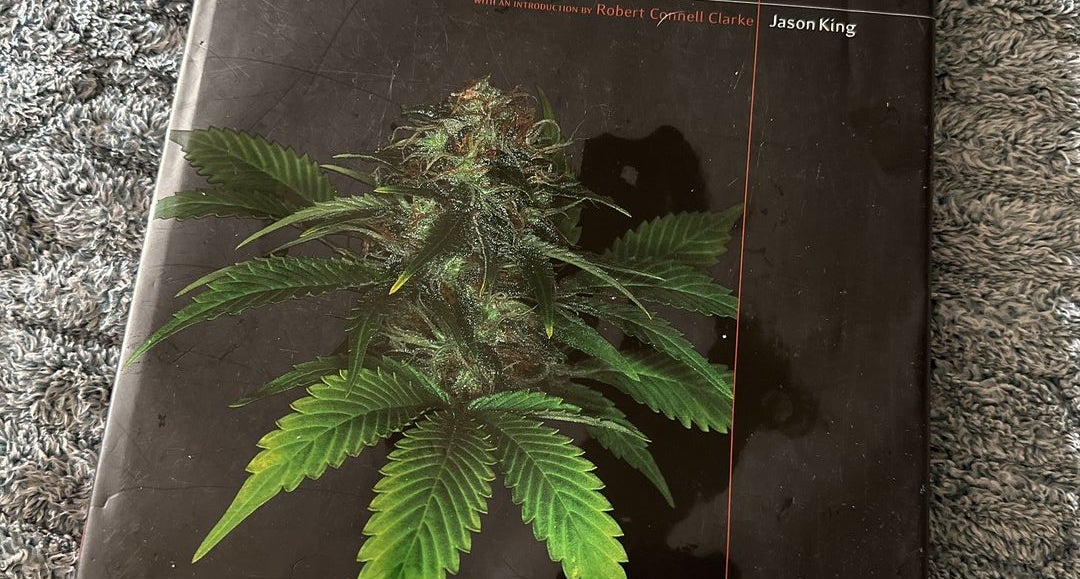 健康・医学 The Cannabible Collection (JASON KING) The Cannabible Collection: The Cannabible 1/the Cananbible 2