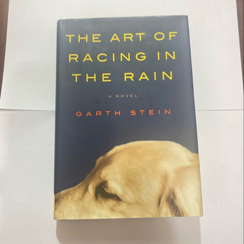 The Art of Racing in the Rain