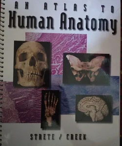 An Atlas to Human Anatomy by Strete/Creek