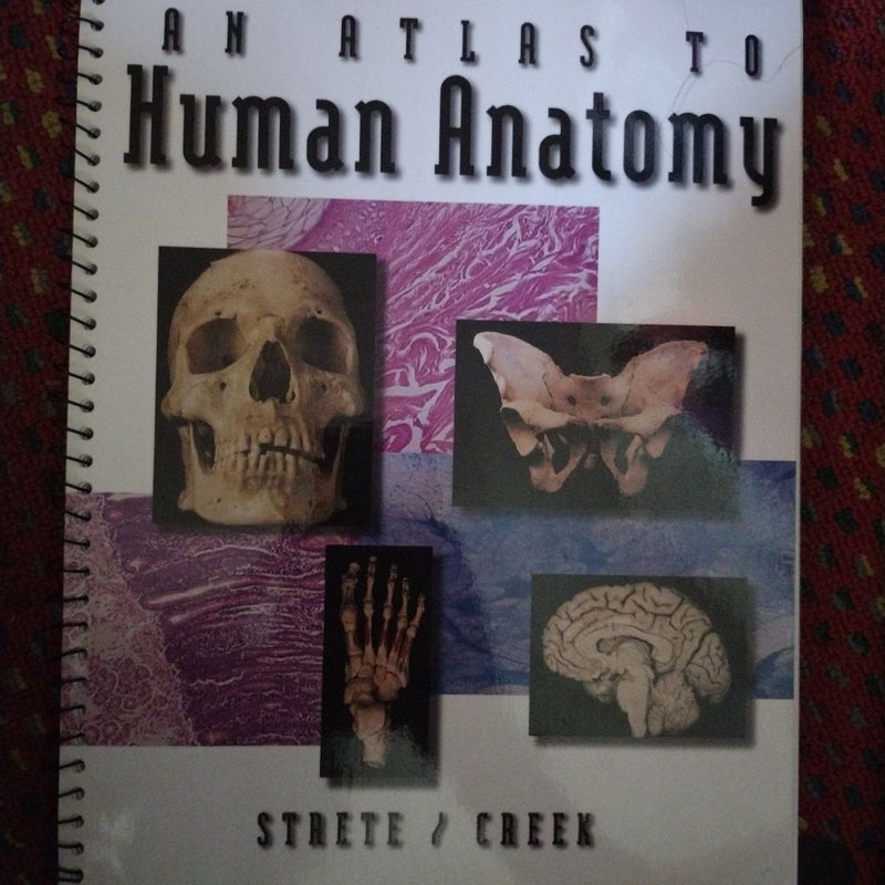 An Atlas to Human Anatomy by Strete/Creek