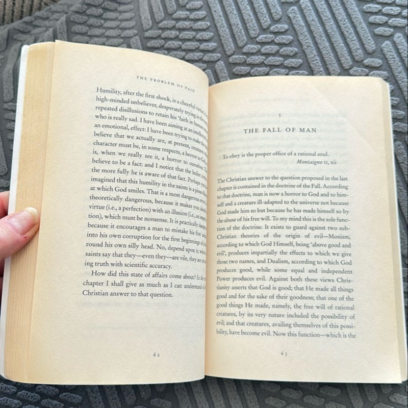 The Problem of Pain