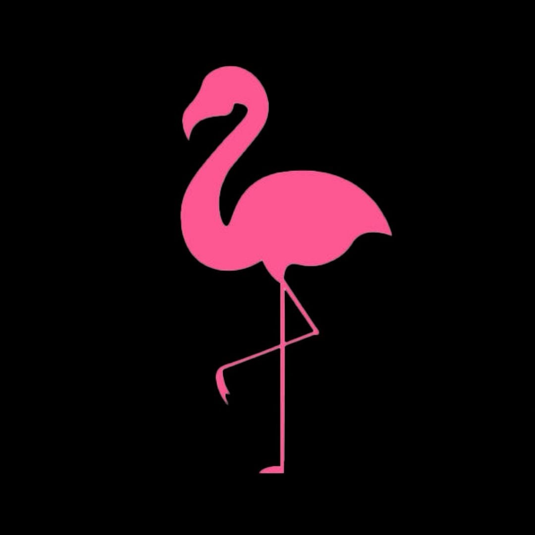 The Pink Dinosaur