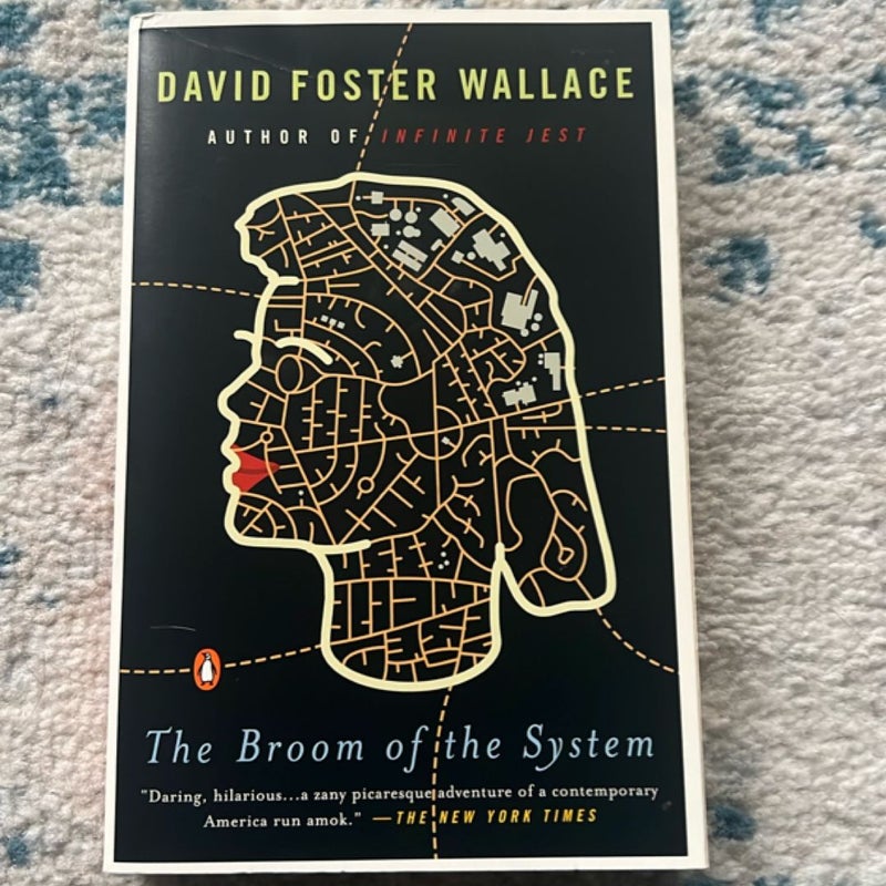 The Broom of the System