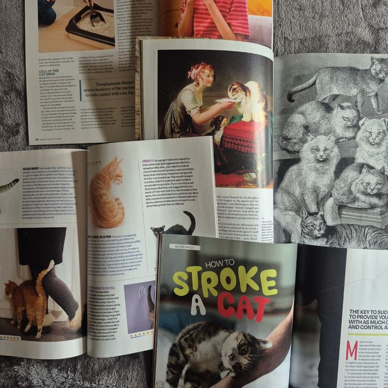 4 Magazines All About Cats