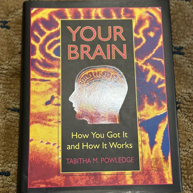 Your Brain