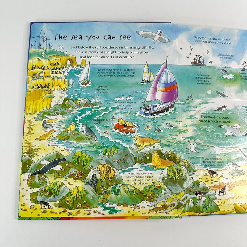 Usborne Flap Book-See Under the Sea