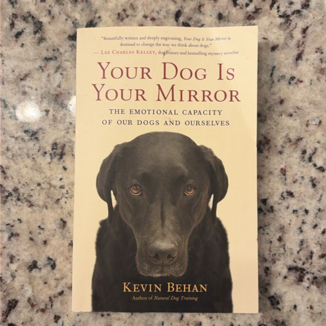 Your Dog Is Your Mirror