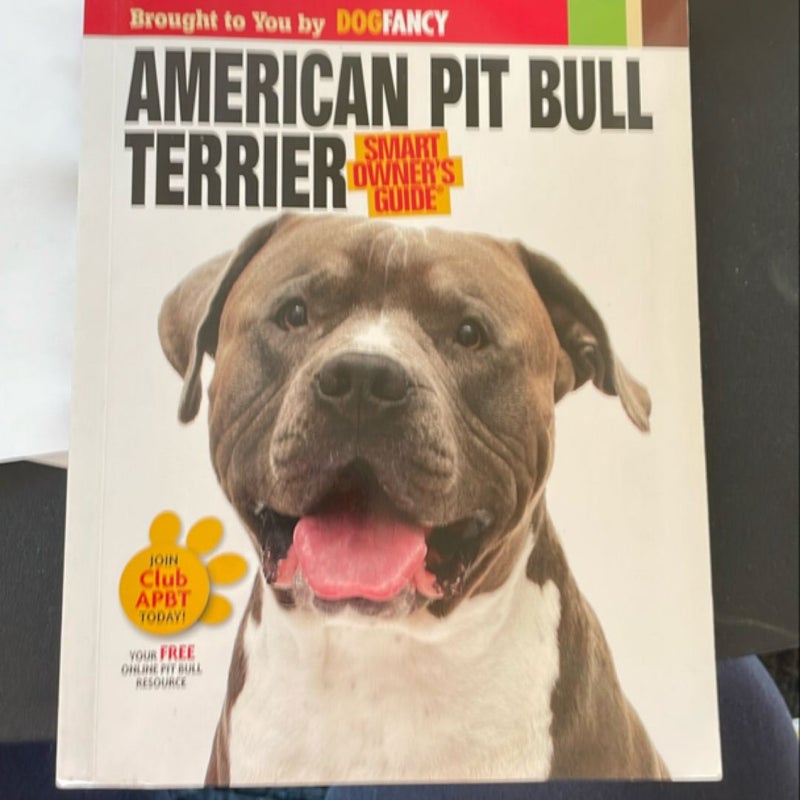 American Pit Bull Terrier