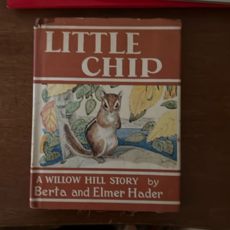 Little Chip