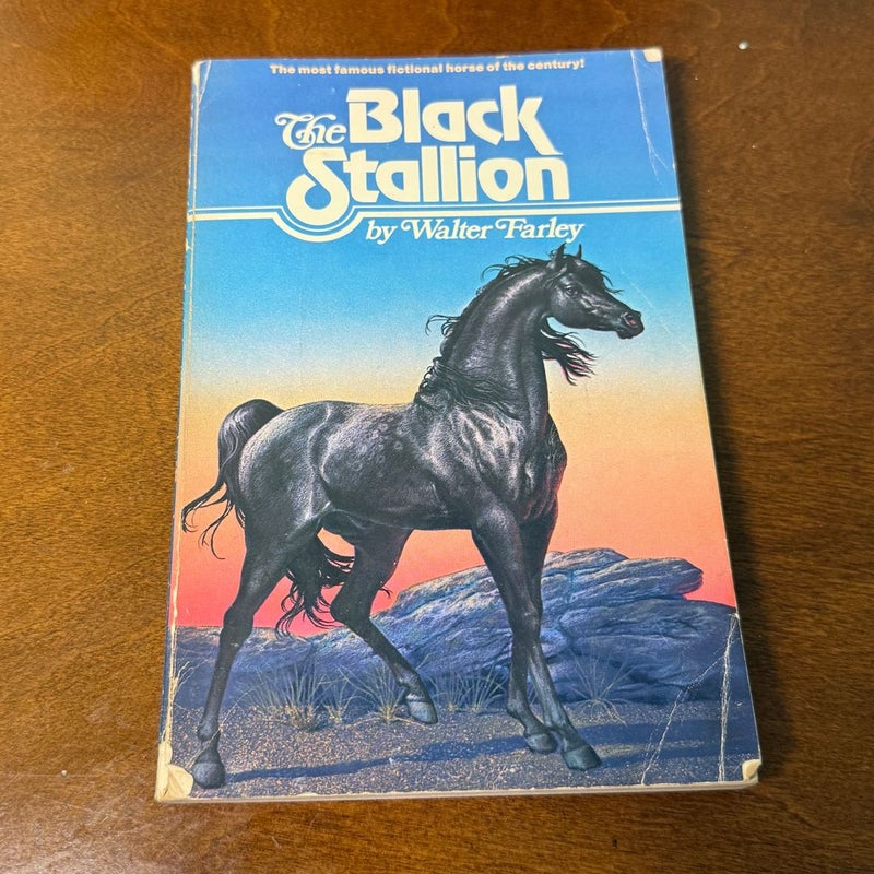 Black Stallion Books
