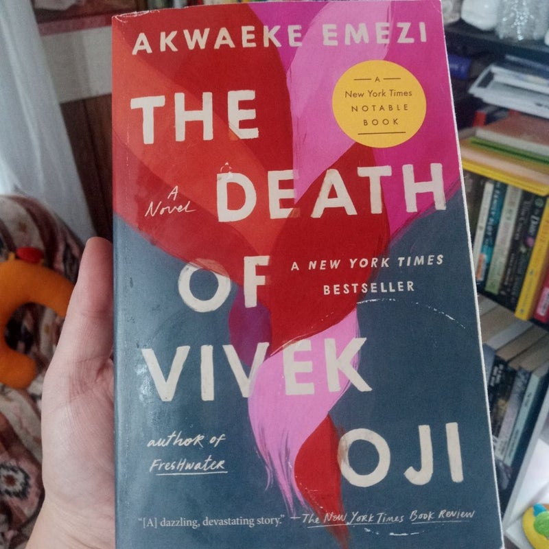 The Death of Vivek Oji