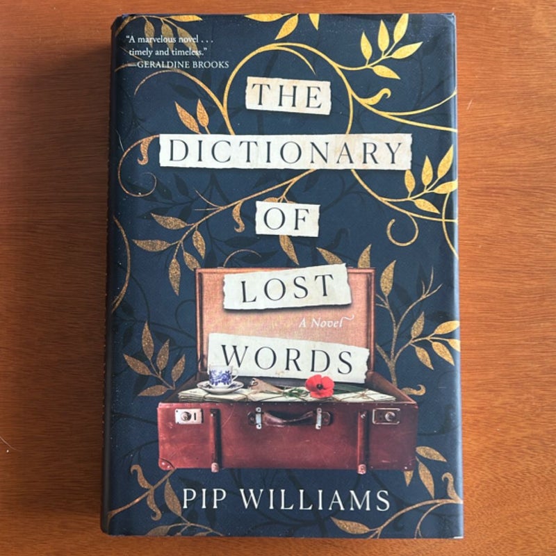 The Dictionary of Lost Words