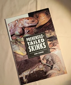 Prehensile-tailed Skinks