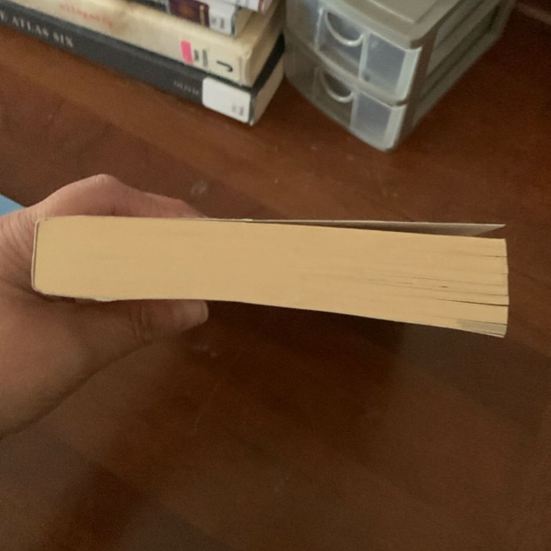 Good Kings Bad Kings