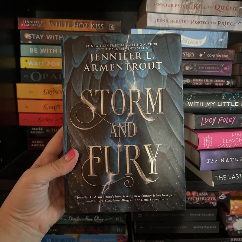 Storm and Fury