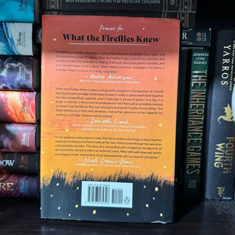 What the Fireflies Knew