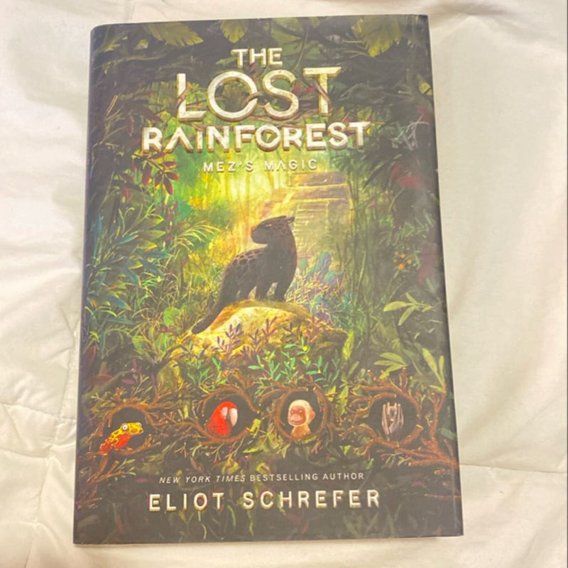 The Lost Rainforest #1: Mez's Magic