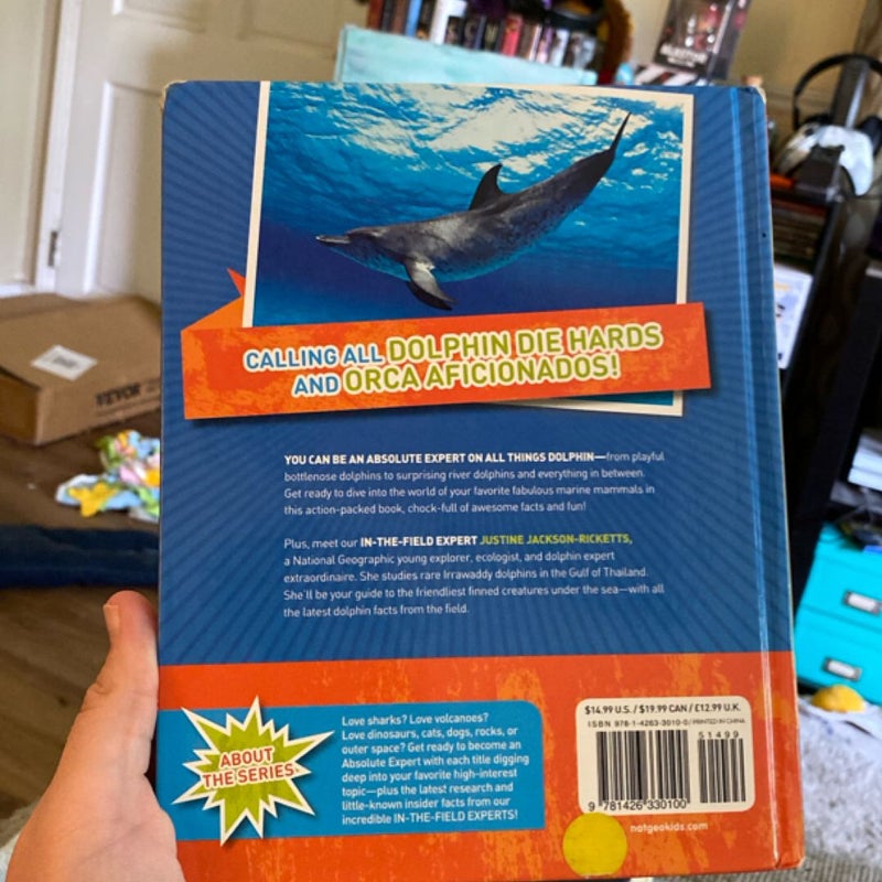 Absolute Expert: Dolphins