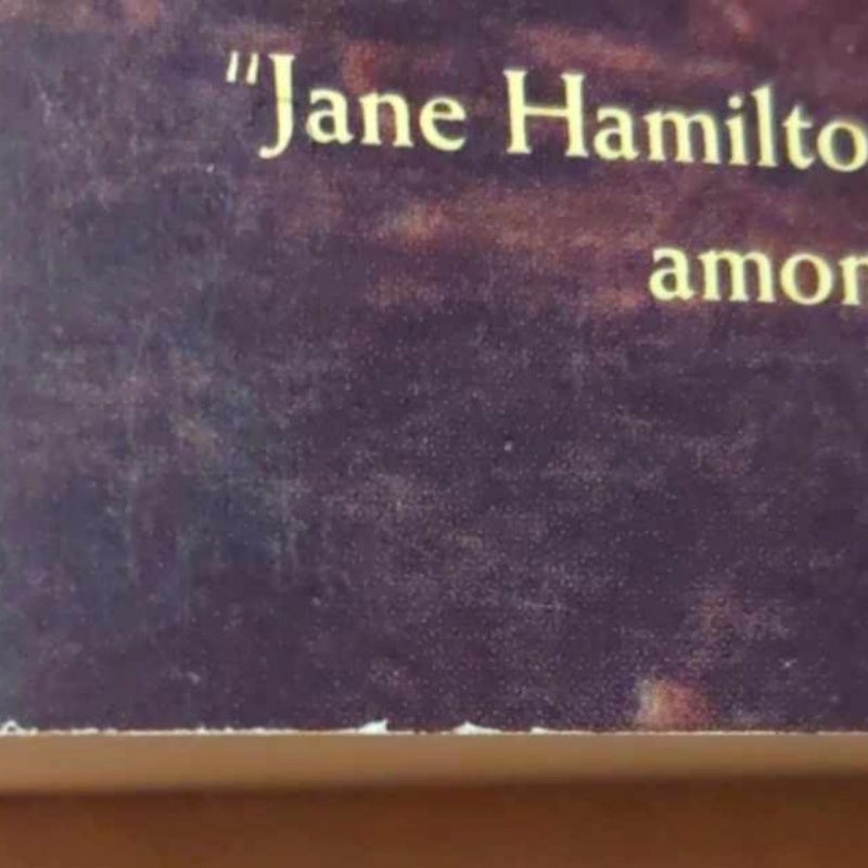 A Map Of The World by Jane Hamilton Paperback Edition