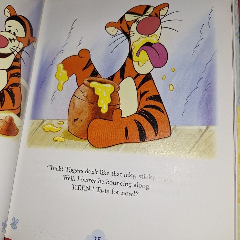 Winnie the pooh storybook