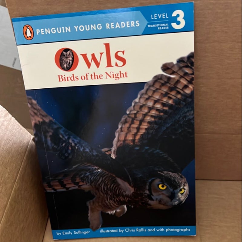 Owls